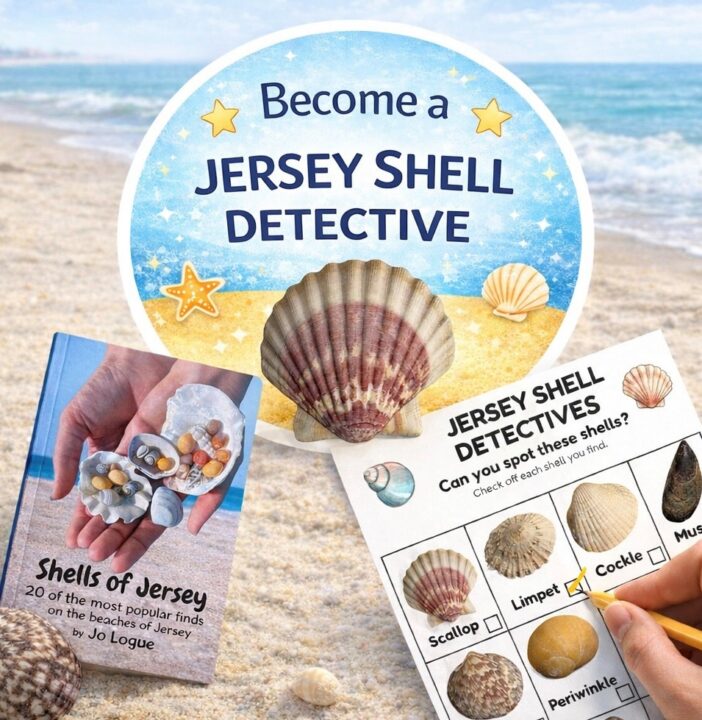 JFOW Jo Logue Jersey Shell Detectives 1