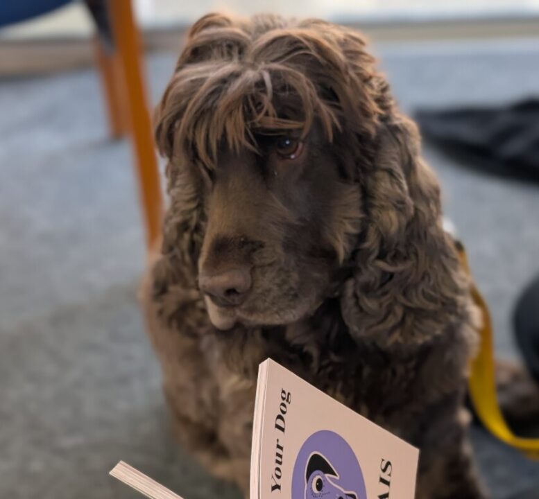 JFOW Therapy Dogs Nationwide Jersey Storytime e1779739151594